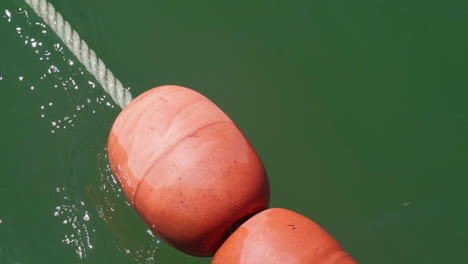 orange buoys on a rope floating in the sea on a bright weather - close up