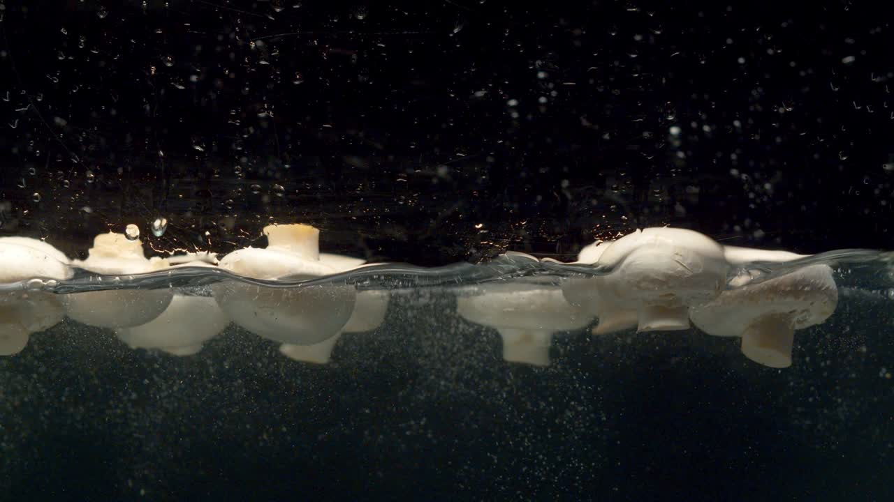 이 물 속으로 떨어지는 것