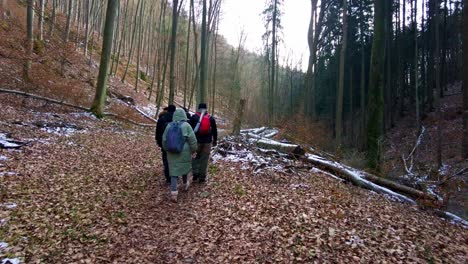 Un-Grupo-De-Amigos-Paseando-Por-Un-Paisaje-Boscoso-En-Invierno