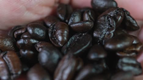 Hand-with-Arabica-roast-coffee-beans,-moving-to-the-left-and-closer-to-the-camera-revealing-the-colour-and-texture-of-the-beans