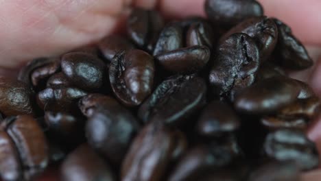 hand with arabica roast coffee beans, moving to the left and closer to the camera revealing the colour and texture of the beans