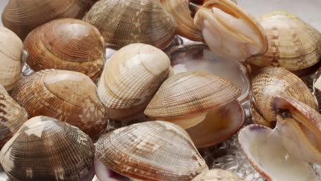 cooking clams in boiling water