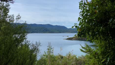 view of lake waikaremoana and mountains through lush green bushes and trees