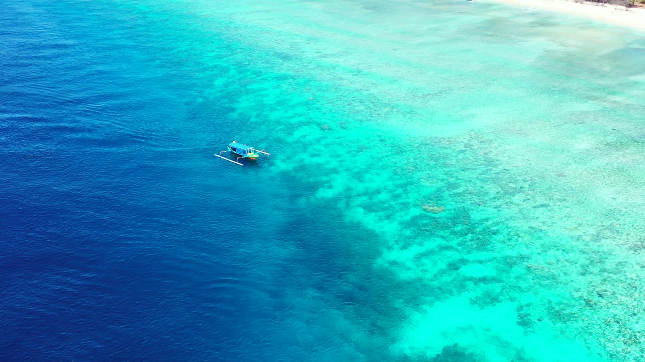 isla de palawan, filipinas - mar azul en calma con árboles gloriosos y botes flotando junto al mar - toma aérea