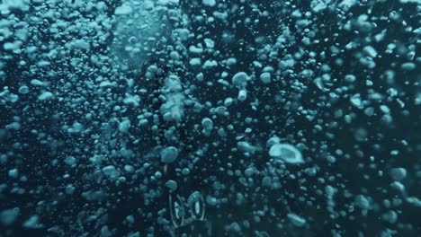el buzo submarino con burbujas en el océano. las burbujas flotan a la superficie en el mar azul tropical.