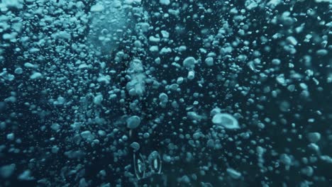 underwater diver with bubbles in the ocean. bubbles float to surface in tropical blue sea.