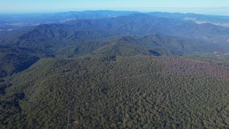 d'aguilar national park with lush green mountain vegetation in qld, australia - aerial drone shot
