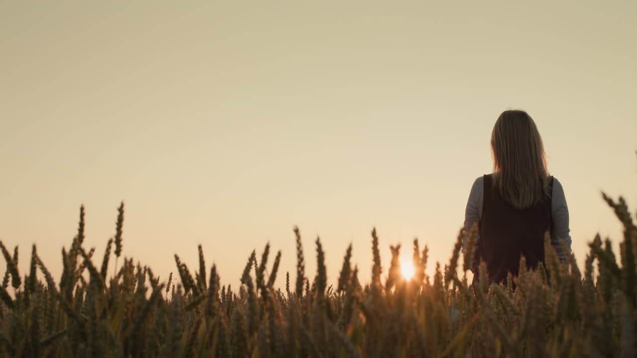 silhouette di una donna contadina in piedi in un campo di grano maturo al tramonto. vista posteriore