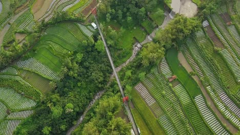 Puente-Mangunsuko-O-Puente-Jokowi