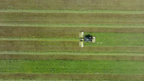 Vista-Aérea-De-Un-Tractor-Cortando-Un-Campo-De-Hierba-Verde-Fresca,-Un-Granjero-En-Un-Tractor-Moderno-Preparando-Comida-Para-Animales-De-Granja,-Un-Día-Soleado-De-Verano,-Un-Amplio-Disparo-De-Muñeca-Con-Drones-De-Ojo-De-Pájaro-Descendente