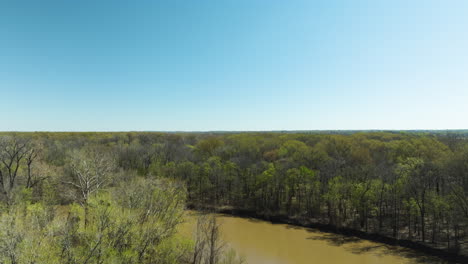 Exuberante-Bosque-Verde-En-El-Refugio-Nacional-De-Vida-Silvestre-Lower-Hatkie-En-Tennessee,-EE.UU.