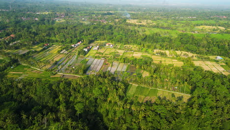 Vibrant-landscape-of-rice-fields-and-small-towns-of-Bali-island,-aerial-view