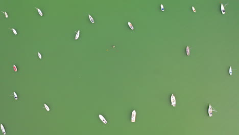 aerial view of numerous boats on green water