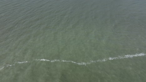 reverse reveal of uss lexington cv16