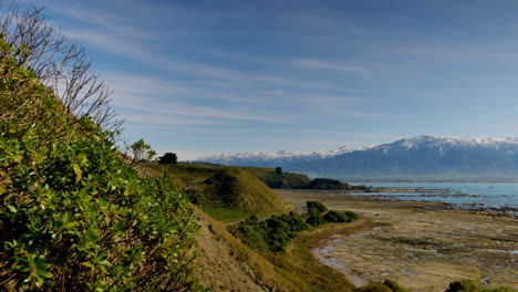 slow panning shot showing idyllic landscape with plants,beach and ocean during sunny day