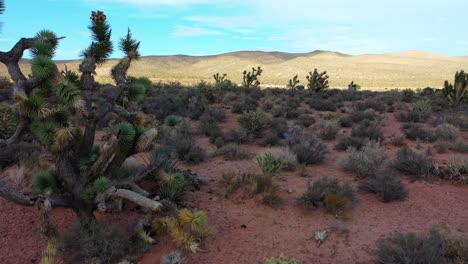 tiro de drone de zoom en cámara lenta de un paisaje desértico con montañas en el fondo