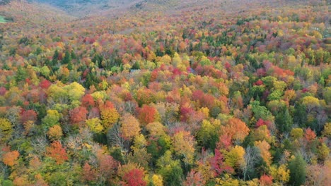 Bosque-En-Colores-De-Hojas-De-Otoño,-Vista-Aérea-Del-Colorido-Paisaje-De-Otoño-De-Cuento-De-Hadas-En-El-Campo-Americano