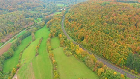 aerial drone shot of a freight train in vibrant autumn colours 4k