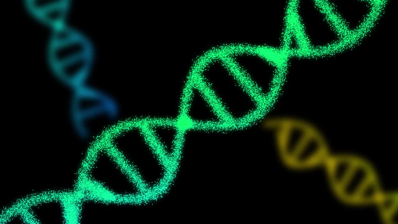animación 2d de tres adn compuesto de partículas en un fondo negro. 60 fps. el objeto es oblicuo. el enfoque está en el frente.