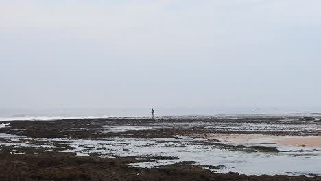 view of the beach as morning arrives in garut, west java, indonesia