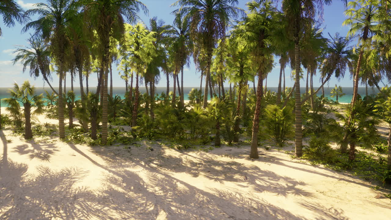 열대 섬 해변 파라다이스