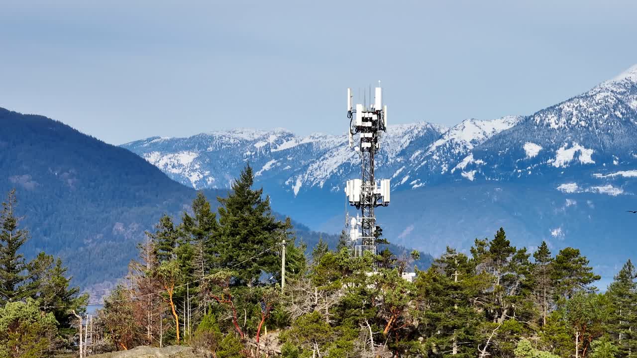 águila vuela lejos de la antena de la torre de telecomunicaciones en la bahía de la herradura en columbia británica, canadá