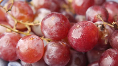 primer plano de un racimo de uvas rojas