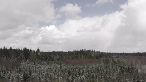 Flying-forward-in-a-light-snowfall-over-a-rural-forest-landscape-by-my-drone-under-a-cloudy-blue-sky-at-a-beautiful-day-in-the-winter-season