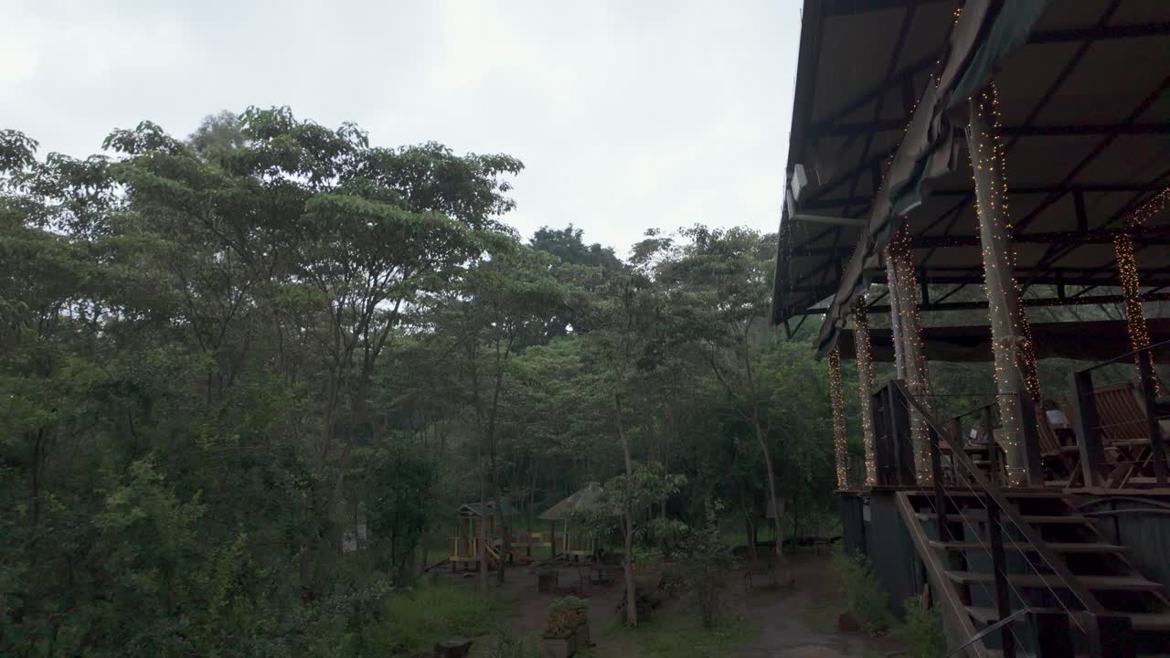 cafetería y restaurante dentro de un bosque