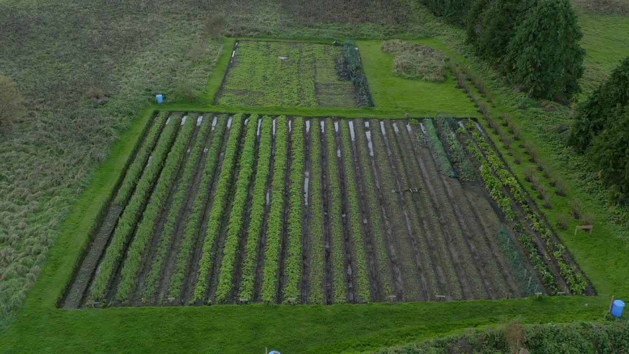 vista aérea de un campo de cultivo en galway, irlanda