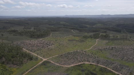 Vista-Aérea-Del-Paisaje-De-Proença-A-Nova