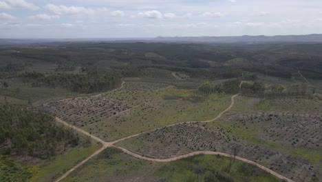 aerial view of proença a nova landscape