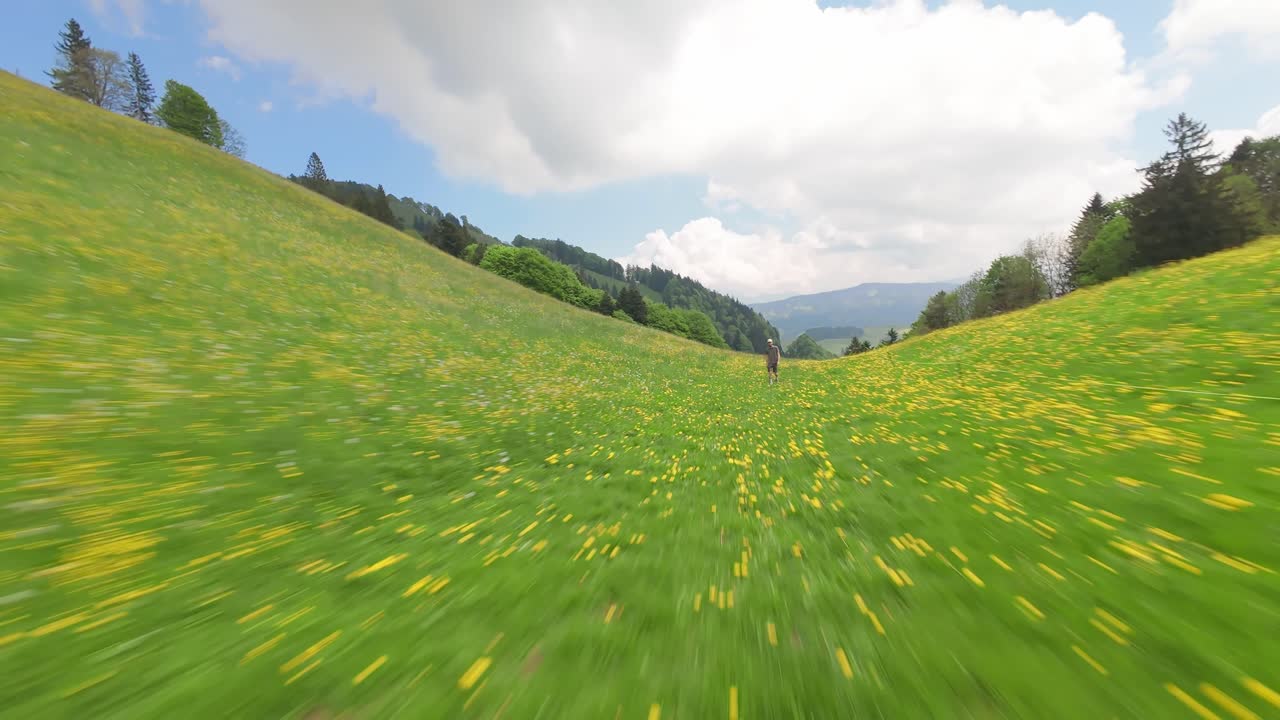 Walking person on grassy mountain with Alpine flowers in Switzerland. FPV drone speed flight into valley. Cloudy day in summer. Hut on top of alp mountains.