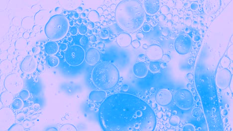 colorful oil drops floating on water surface, top view. fantastic abstract background. bright bubbles moving and spreading. close up 4k video of weird liquid structures. scientific chemical experiment