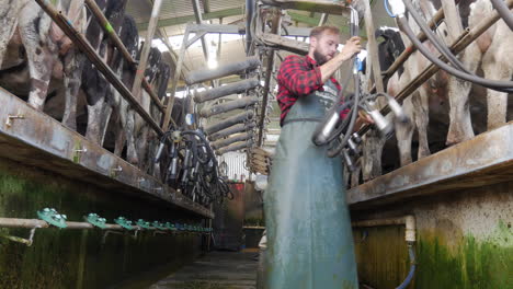 workers in ditch putting suction cups on milking cattle