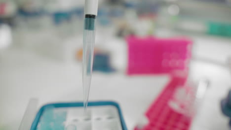 pipeta de mano del científico usando análisis de adn para el paciente