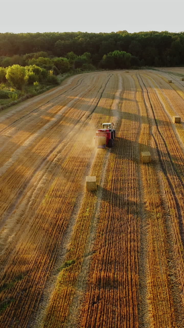 Agricultural machine works on the field in a sunny summer day. Tractor is pressing dried grass into square bales. Aerial view. Motion camera back. Vertical video