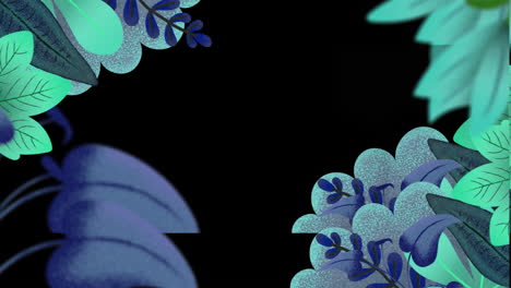 animation of green plants over black background