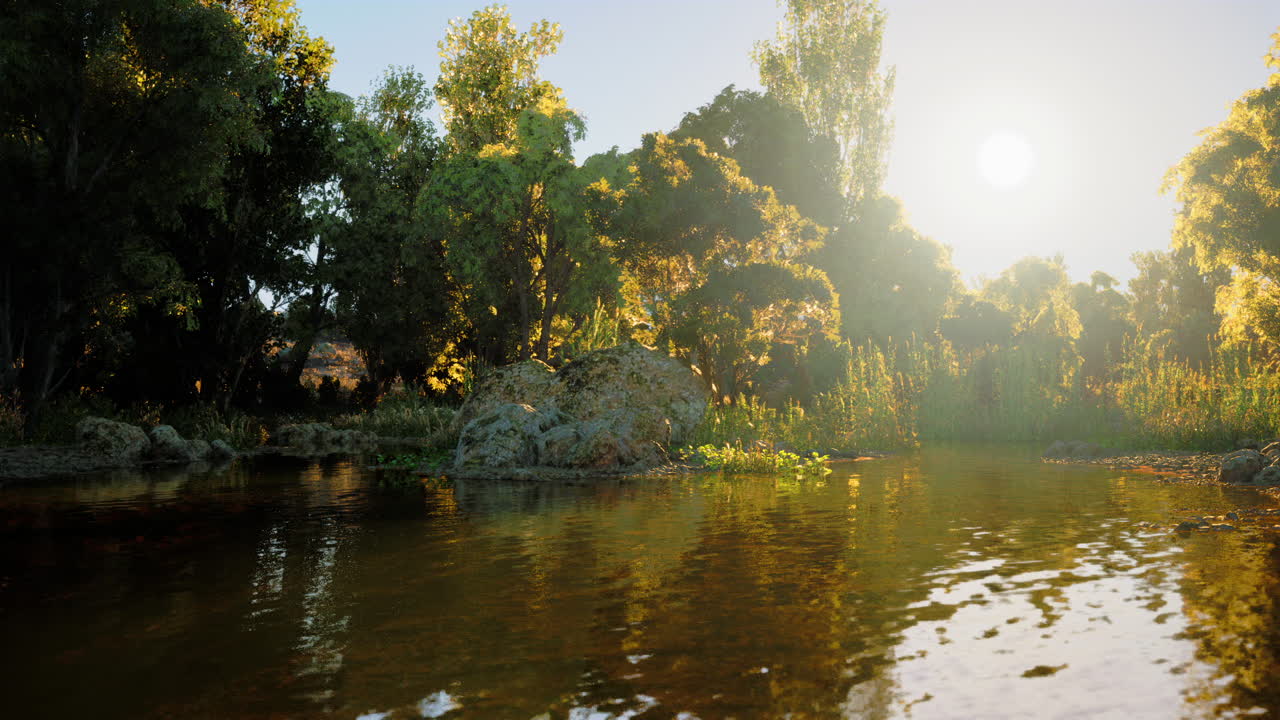 спокойная река, протекающая через лес в полдень.