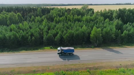 camión en un camino de campo a través de un bosque