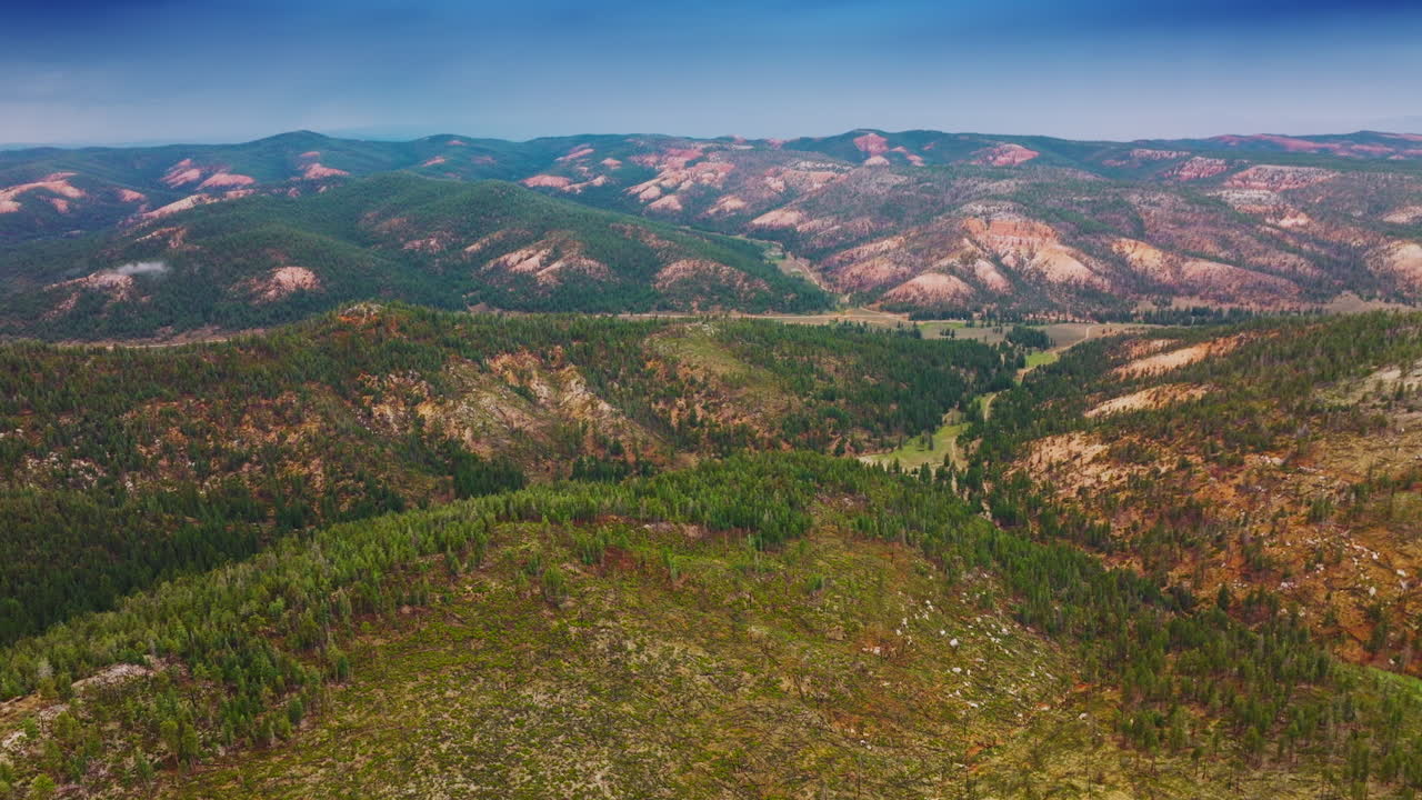 Flying above the amazing mountainous landscape covered with pine tree forests. Beautiful scenery of Utah National Park at the backdrop of blue sky.