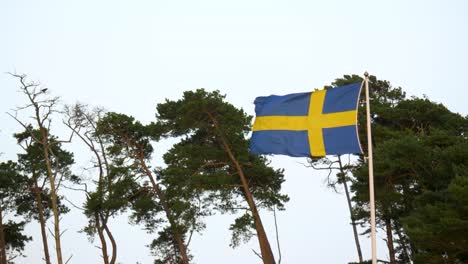 Flag-Of-Sweden-Flying-Against-Row-Of-Trees-In-Strong-Wind