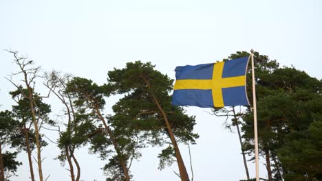 flag of sweden flying against row of trees in strong wind