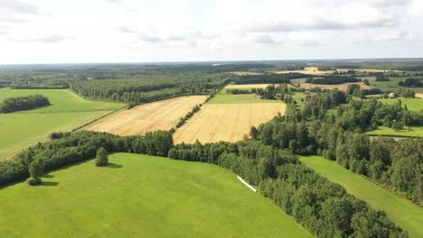 Distant-drone-video-of-rapeseed-field