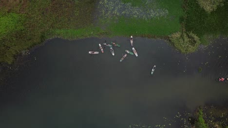 boats floating on the ngô đồng river in vietnam, surrounded by greenery, aerial view