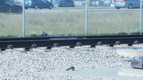 fast moving train on railroad tracks