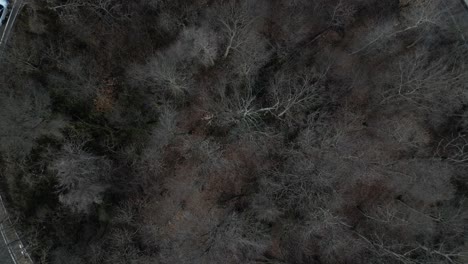 a top down view of dry trees in the center of a circular highway exit ramp
