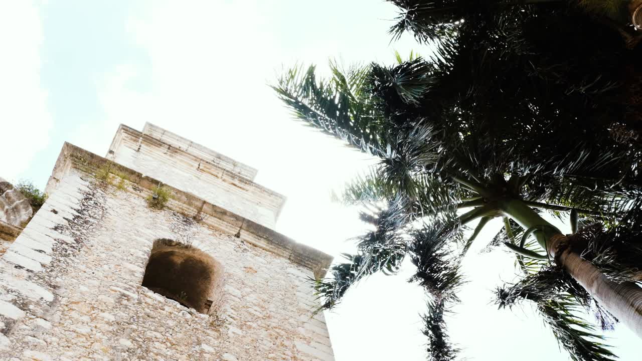 Striking upward shot of a palm tree and church against the radiant sky, adorned with sun flares, depicting a serene and divine ambiance in M&eacute;rida