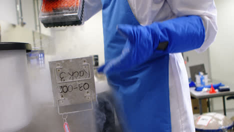 scientist taking out vaccine rack from freezer 4k