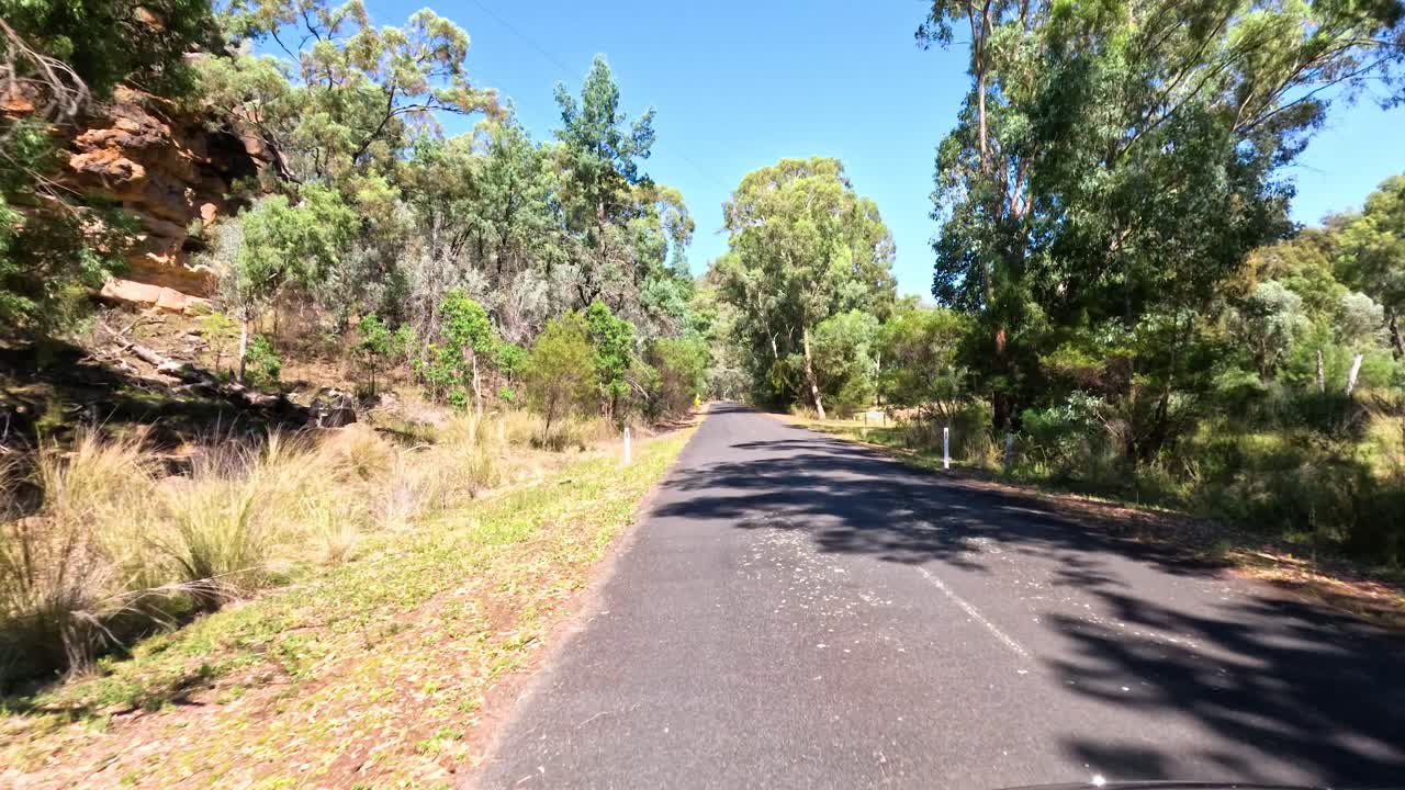 울창 한 초록색 을 가로질러 평화 로운 운전